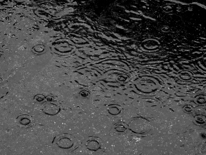 Rainfall (Wikipedia)